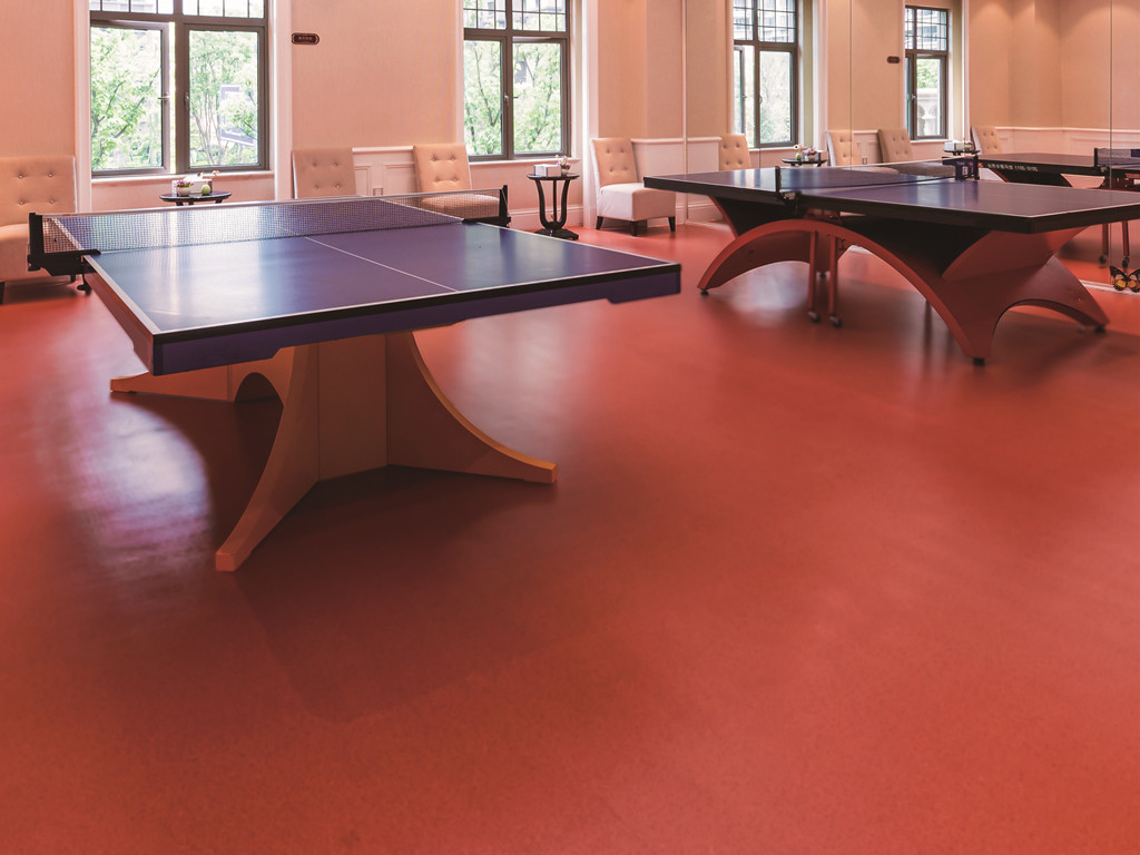 Table Tennis Hall PVC